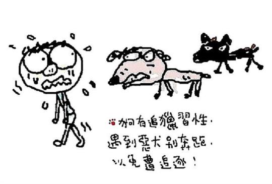 流浪狗好可怕，通通抓走最安全！？其實只要學會這6招就不用怕